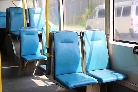 В Воронеже появится новый маршрут от «Линии» до Мало-Терновая