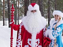 Хабаровские Деды Морозы и Снегурочки попадут на хоккей бесплатно