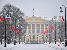 Смольный ищет подмогу для уборки крыш правительственных зданий от снега за 5,5 млн рублей