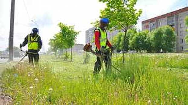 Администрация Вологды заключит новый муниципальный контракт на покос травы