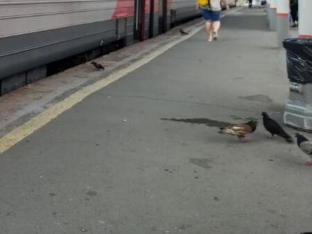 В Приморье изменилось расписание электричек