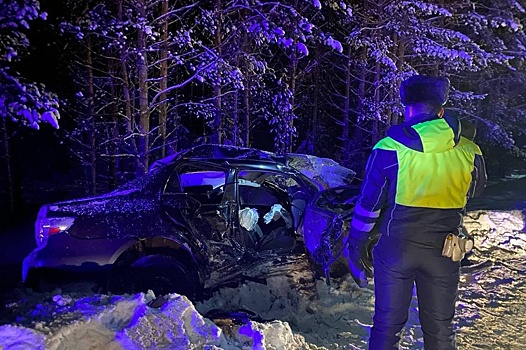 Установлены обстоятельства смертельного ДТП со множеством пострадавших под Нижним Тагилом