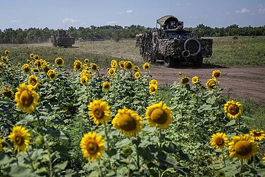 Пленный украинский военный рассказал об отношении жителей страны к конфликту