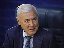 Депутат Аксаков: Рост международных резервов отражает устойчивость экономики РФ