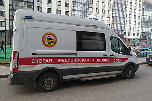 Восьмиклассника госпитализировали после удара ножом в грудь под Петербургом