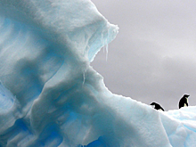 В МИД рассказали о подготовке к Арктическому совету на Аляске