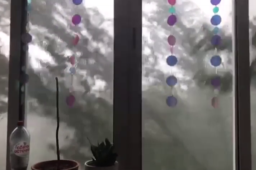 В Москве девушка сняла на видео дерево, влетевшее на балкон во время урагана