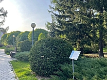 Омские власти решили в два раза поднять плату за вход в дендросад Гензе и дендропарк Комиссарова