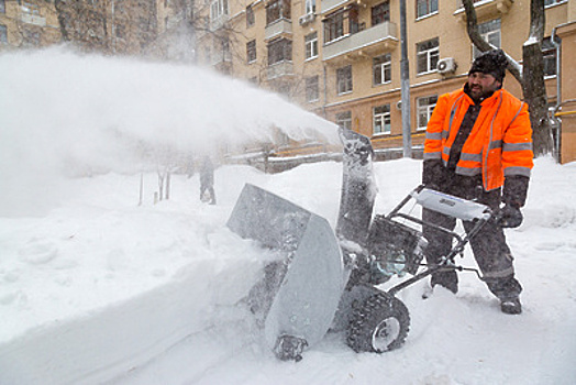 Торговые сети Подмосковья призвали активнее убирать снег