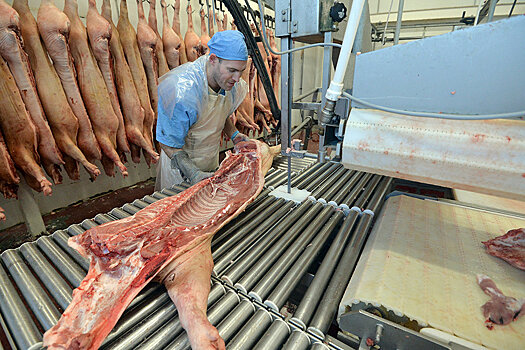 В этом году впервые за 30 лет Россия обойдется без импортной свинины