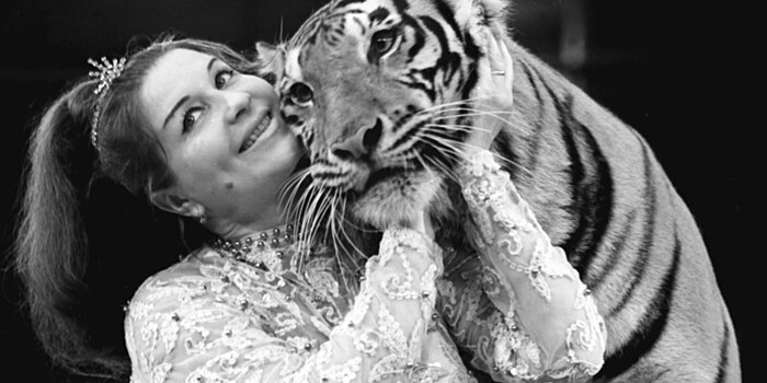 Укротительница тигров: 95 лет назад родилась дрессировщица Маргарита Назарова