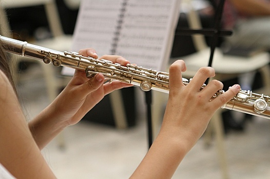 В Митине состоится концерт «Волшебные звуки флейты»