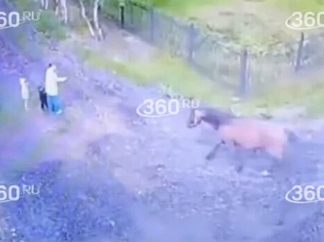Пенсионерке из Ленобласти ампутировали руку после нападения коня