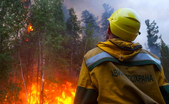 В России полыхает 42 лесных пожара