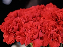 В Камышине поздравления принимают четыре участника Сталинградской битвы