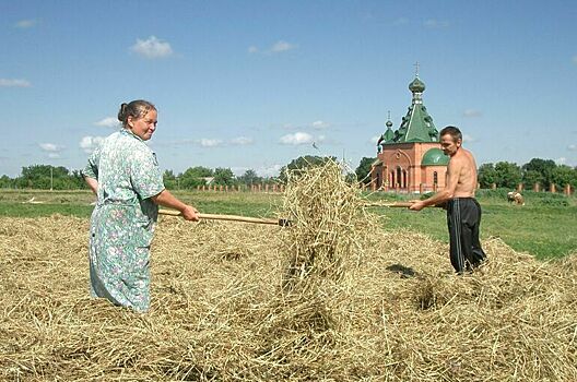 Анютины грядки: блогеры зовут жить и работать в деревне