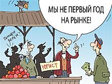 Самарцы все чаще становятся жертвамиюристов-мошенников