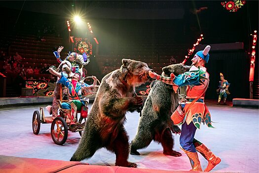 Медведи-гиганты, иллюзионисты и клоунский дуэт: новая программа в цирке Ижевска