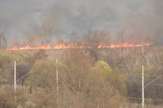 Город в огне: под Владимиром горело 30 гектаров сухостоя