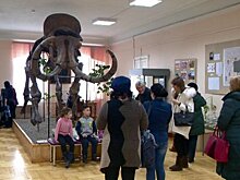 Пензенцы не упустили возможность бесплатно посетить парки и музеи
