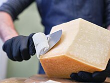 В Истре построят еще одно сырное производство
