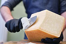 В Истре построят еще одно сырное производство