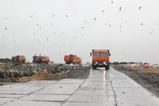 «Мусор под ёлочку». В Архангельск повезут отходы из Ненецкого округа