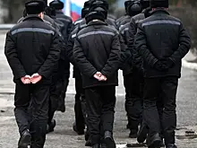 В Госдуме раскрыли детали предложенной масштабной амнистии