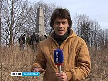 В Калининградской области решается судьба монумента, пострадавшего от вандалов