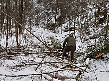 Из-за снегопада в «Дендрарии» Сочи остановлены канатка и прокат электрокаров