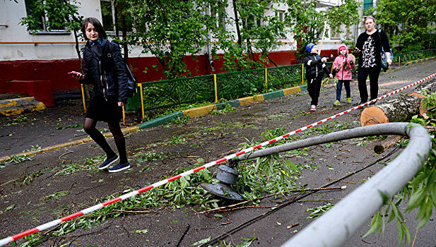 Водителей Москвы попросили не оставлять машины у рекламных щитов и деревьев