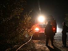 В российском городе сотрудники МЧС спасли из пожара мужчину и кроликов