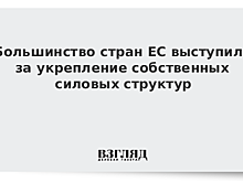 Большинство стран ЕС выступили за укрепление собственных силовых структур