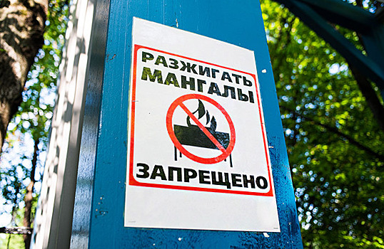 Шашлыки без границ: в России упростят нормы пожарной безопасности для жарки шашлыка