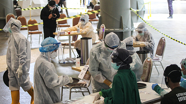 В Китае предупредили о последствиях заражения вирусом Нипах