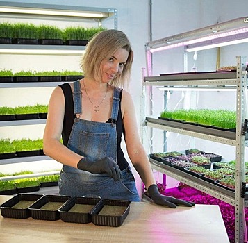 Как организовать доходный бизнес на выращивании микрозелени