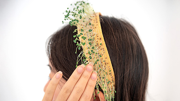 Ученые изобрели «живой» текстиль, из которого растет микрозелень — видео