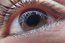 Врачи нашли способ защиты от считавшейся неизлечимой болезни глаз