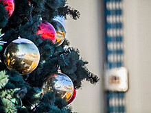 Идею добавить две недели к новогодним праздникам оценили в Совфеде