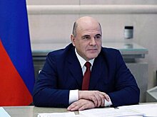 Мишустин поручил перевести на дистанционку сотрудников органов власти