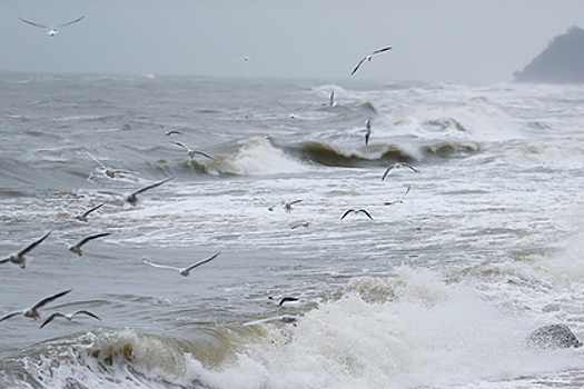 Иностранного туриста смыло волной в России