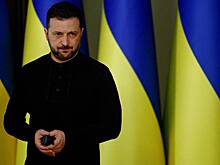Действия Зеленского сравнили с метаниями загнанной в угол крысы