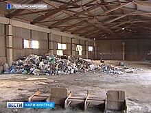 Горы мусора под Правдинском продолжают гнить в старых заброшенных ангарах