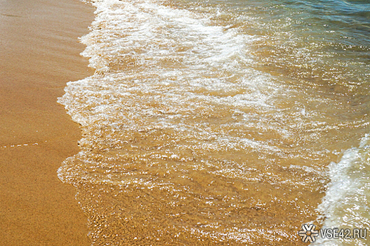 Кузбасские студенты приняли участие в очистке пляжей Анапы от мазута