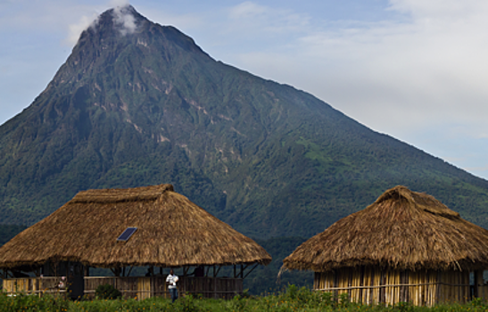 Житель Конго получил награду за охрану национального парка от нефтедобычи