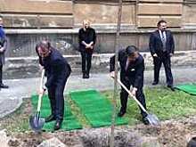 "Не стыдно, рагулина?":Сети пристыдили губернатора Львова за искусственную траву, чтобы "ботинки не испачкать"