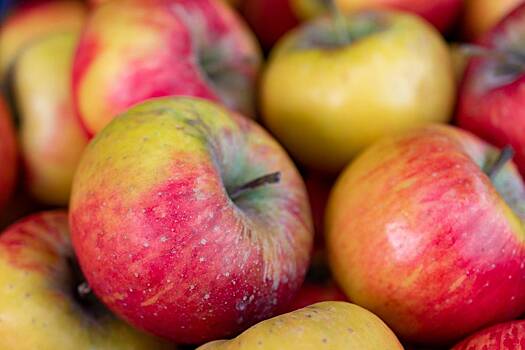 Опровергнуты три популярных мифа о яблоках