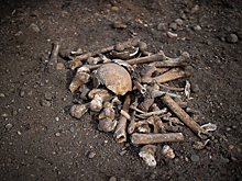 Четыре лекции от «профессиональных копателей»: в Калининграде 15 августа стартуют «Открытые дни археологии»