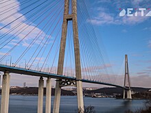 Водителю-иностранцу, насмерть сбившему студентку на Университетском проспекте, вынесли приговор во Владивостоке