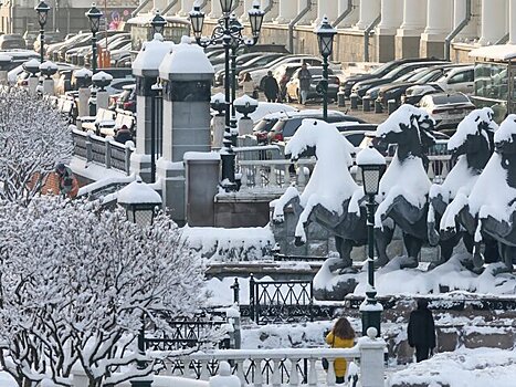 Высота снежного покрова в Москве достигла 58 сантиметров